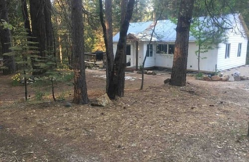 Alta Cabin | Beautiful, Peaceful Family and Pet Friendly Cabin in Woods. Sleeps 10.