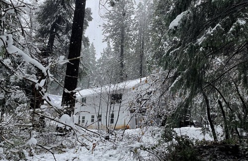 Alta Cabin | Beautiful, Peaceful Family and Pet Friendly Cabin in Woods. Sleeps 10.