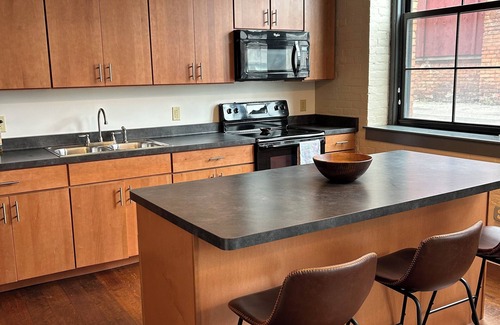 Downtown Rochester Apartment | Beautiful, pet-friendly apartment. Easy to get anywhere around Rochester!