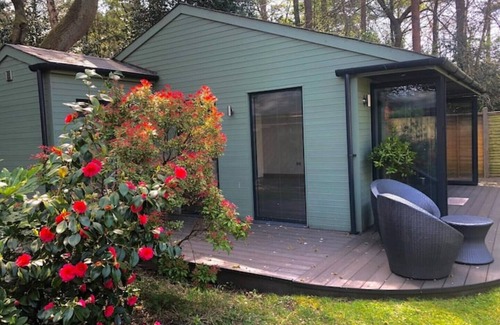 Camberley Cabin | Beautiful, private, garden, woodland sanctuary