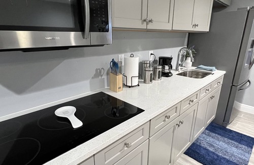 Lake Magdalene House | Beautiful private modern room with kitchen and bathroom.