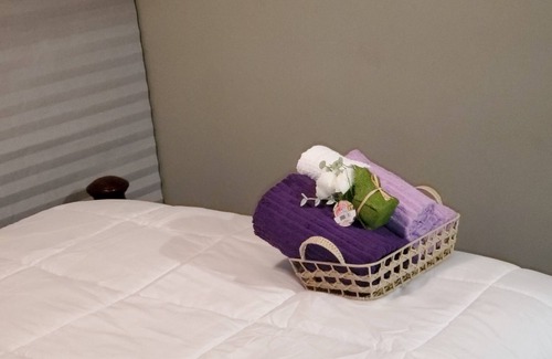 Brampton House | BEAUTIFUL PRIVATE ONE BEDROOM APARTMENT ON AIRPORT ROAD!