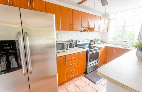 Mediania Alta Condo | Beautiful! Puerto Rico Getaway Beachfront Penthouse