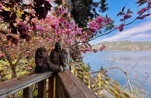 Pender Island Apartment | Beautiful, quiet place to stay with lovely beach access and stunning views.