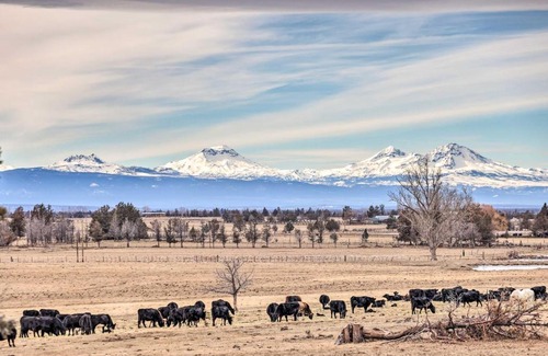 Powell Butte House | Beautiful Ranch Home with Cascade Mountain View