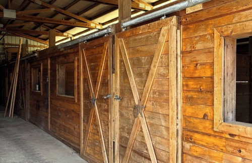 Yelm Apartment | Beautiful remodeled 3-bedroom bunkhouse. Family/Pet friendly. Lots of amenities.