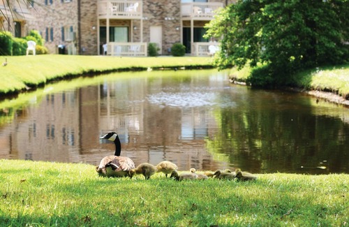 Socastee Resort | Beautiful resort in the heart of it all!