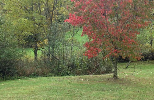 Green Mountain House | Beautiful Retreat (2night min.) - 33 Private Mountain Acres to Hike