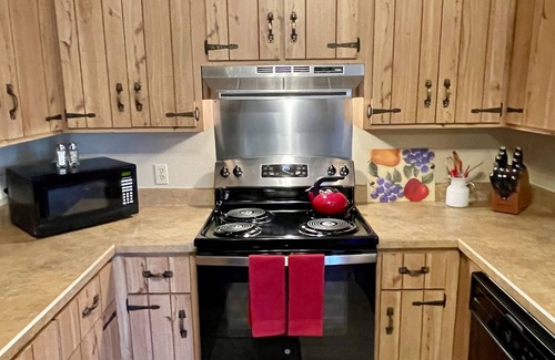 Mammoth Spring House | Beautiful Riverside home nestled on the banks of Spring River!