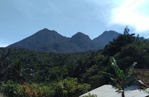 Pamijahan Villa | Beautiful Sanctuary a real Home Away, nestled next to the National Park.