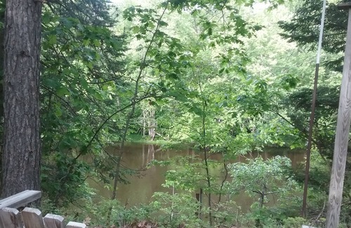 Evart Cabin | Beautiful, Secluded Muskegon Riverfront Cabin