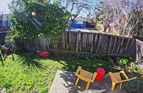 East Palo Alto House | Beautiful, Silicon Valley, 3 Bedroom, 2 Bath House