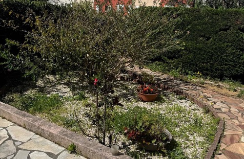 Les Sablettes Apartment | Beautiful, spacious garden apartment. 800m from the beach.