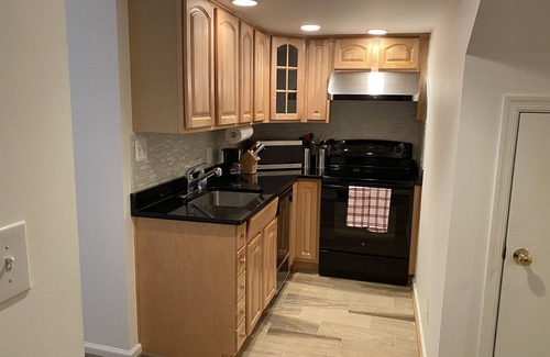 McLean Apartment | Beautiful Spacious 1BR in McLean