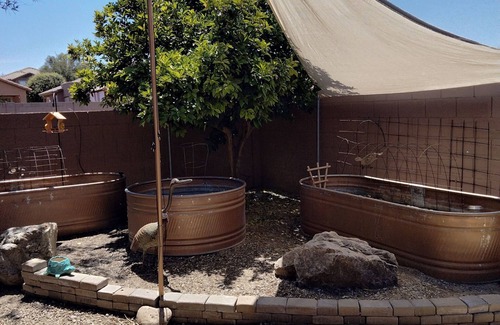 Green Valley House | Beautiful spacious southern Arizona home for long term winter rental 90 day min