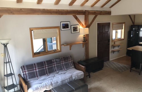 Taos Ski Valley Condo | Beautiful Streamside Condo 1-1/2 mi from Taos Ski Valley!