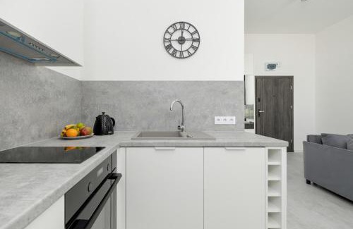 West Pomeranian Voivodeship Apartment | Beautiful Studio Apartments in Szczecin by Noclegi Renters