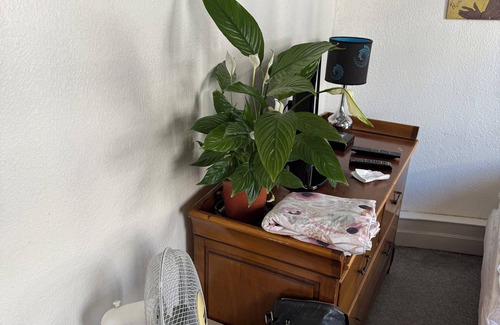 Strasbourg -Saint-Denis Apartment | Beautiful Studio-flat Completely Renovated - Paris Grands Boulevards 75002