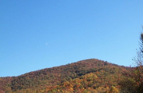 Cosby Apartment | Beautiful studio unit at resort, sleeps 4