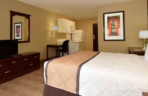 Temple Terrace Apartment | Beautiful Studio apartment (425985) by Houzlet