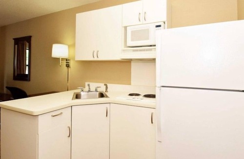 Temple Terrace Apartment | Beautiful Studio apartment (425985) by Houzlet
