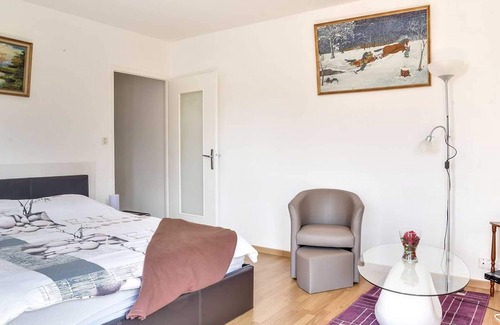 Gaillard Apartment | Beautiful sunny apartment near Geneva
