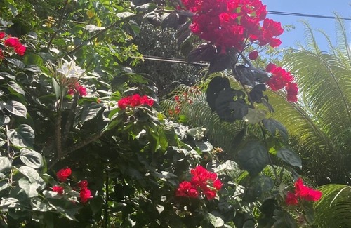 Maria Farinha House | Beautiful tropical garden seconds to the beach