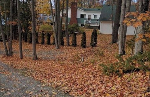 Selwyn House | Beautiful Upper Buckhorn Lake Waterfront Cottage - 2 min to town