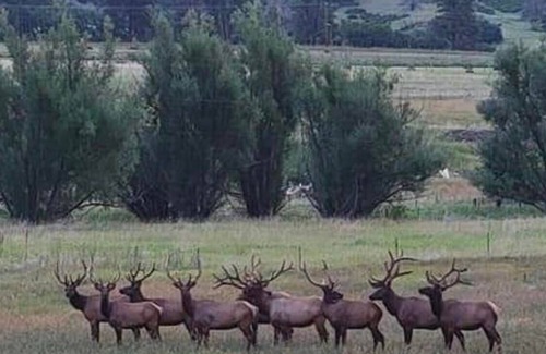 Beulah House | Beautiful Views, Secluded, Pet Friendly