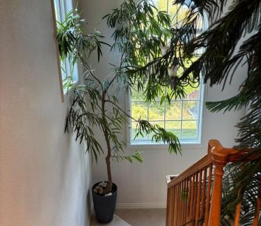 Boulder Apartment | Beautiful Views Spacious Peaceful Near Boulder