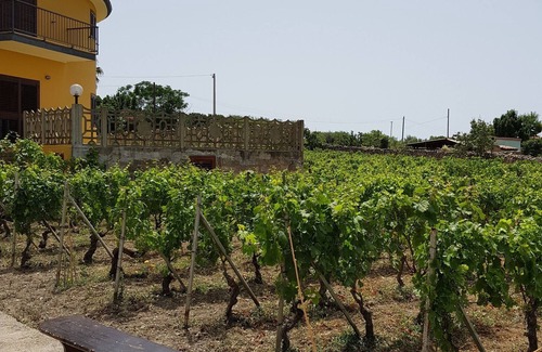 Magomadas Apartment | Beautiful villa in the middle vineyard.