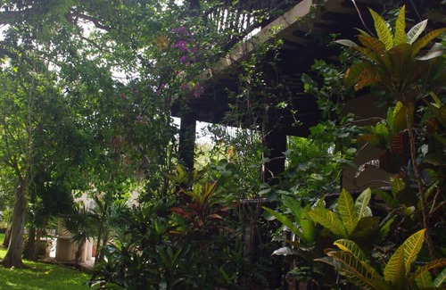 Ejidal Villa | Beautiful Villa with Pool Short Walk to Beach and Town Gated private security