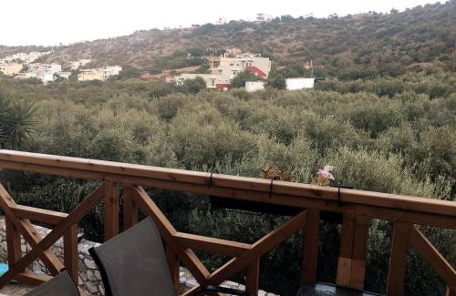 Stalida House | Beautiful Villa with a private pool !