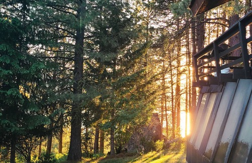 Cascade Apartment | Beautiful Vintage Decorated Cabin with Hot Tub