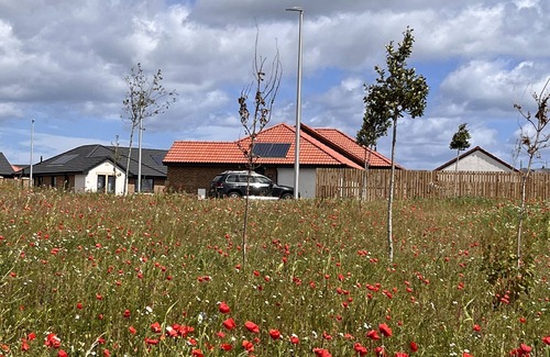 St Monans House | Beautiful Windmill Cottage