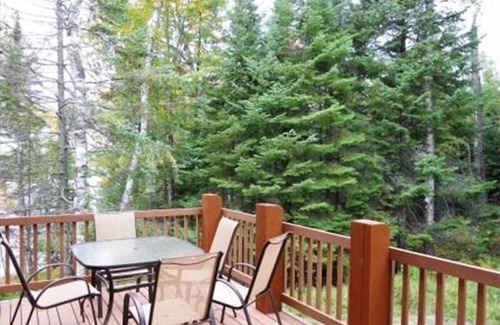 Marcell Cabin | Beautiful Winter LAKE Lodge *Jacuzzi*Fireplace*Pool Table*PingPong*Wifi*Quiet