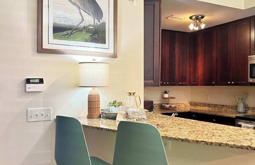 Springfield Apartment | Beautifully Modern Townhouse in Historic SPR!