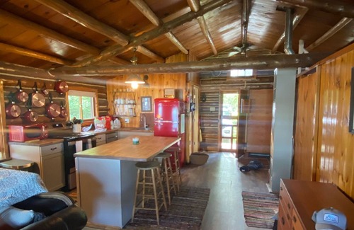 Levering Cabin | Beautifully remodeled log cabin on Douglas Lake