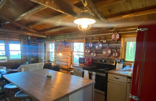 Levering Cabin | Beautifully remodeled log cabin on Douglas Lake