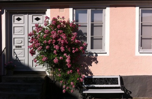 Simrishamn House | Beautifully renovated Gatuhus in the old town of Österlen's onlytown Simrishamn