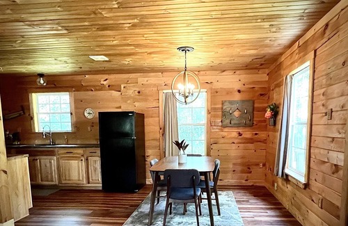 Manistee Cabin | Beautifully Renovated Vintage Cabin in the Heart of Manistee National Forest