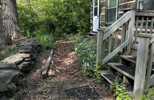 Bluemont Cabin | Beautifully Restored Log Cabin in Bluemont, VA