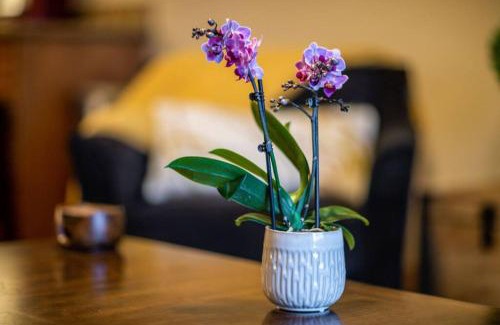 Bear Hollow Village Apartment | Beautifully Updated PC condo w Pool, Hot Tub, Gym!