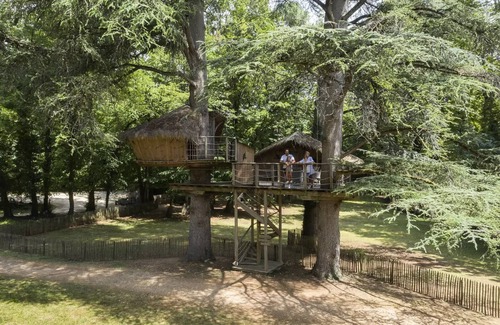 Salles-en-Toulon House | Beauty Park - Squirrel Cabin 4 people