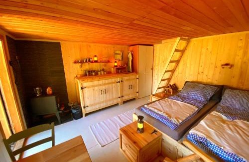 Mora House | Beaver Cabin