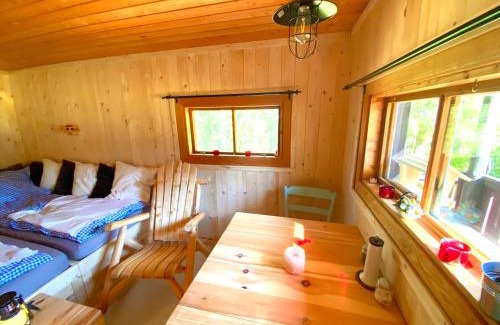 Mora House | Beaver Cabin
