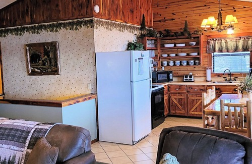 Sylvan Shores Cabin | Beaver Lake View Cabin with Lake Access, Boat Dock, Boat Slips, Incredible View