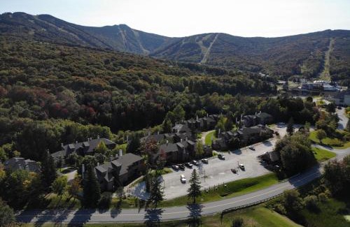 Central Vermont- Killington Apartment | BeaverBox AC, Pool, Hot Tub, Sauna, Near Resort