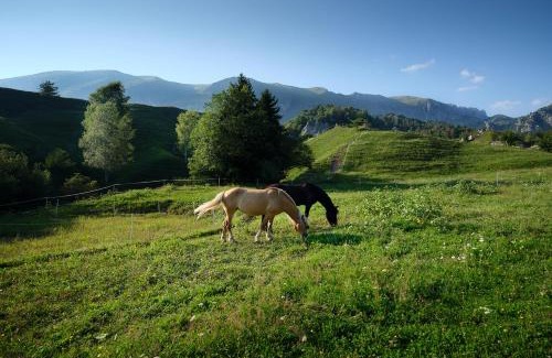 Castione della Presolana Bed & Breakfast | BeB CasaCuore Presolana