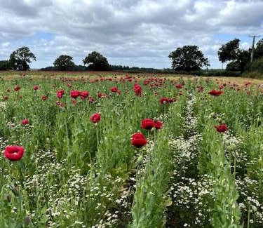 Sutton Maddock House | Beckbury Guesthouse